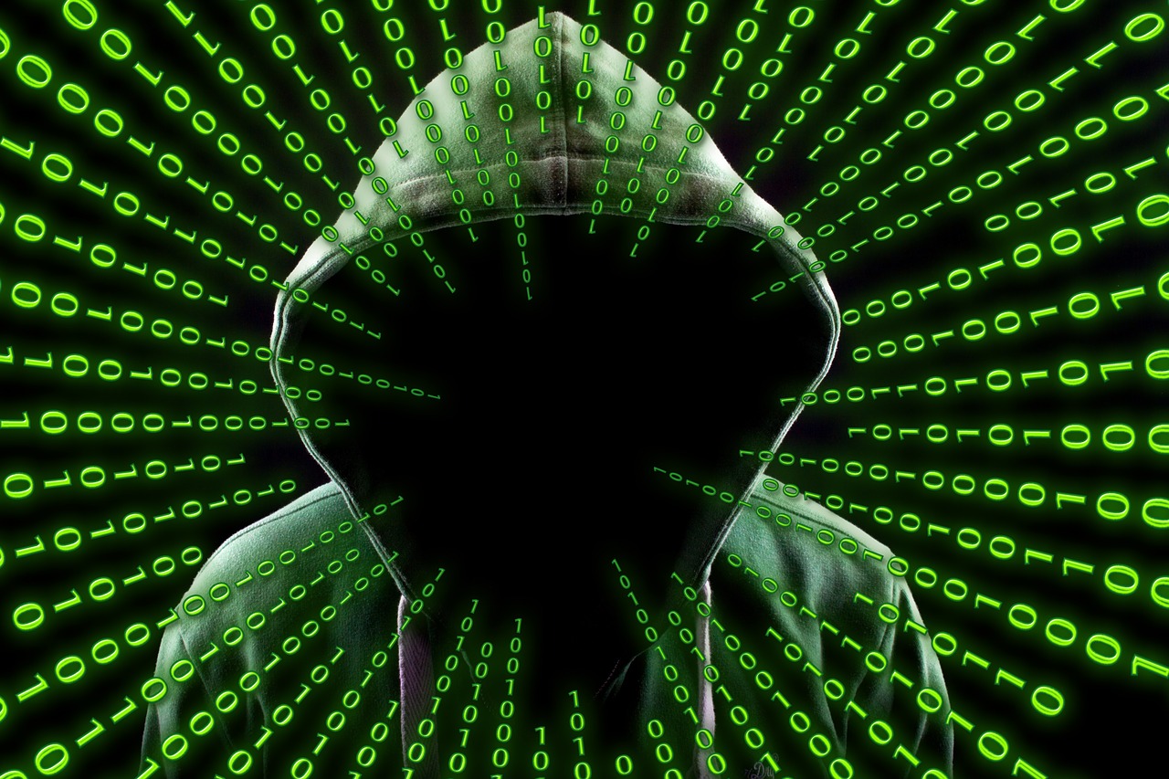 Qu'est-ce qu'un hack de domaine (domain hack) ?